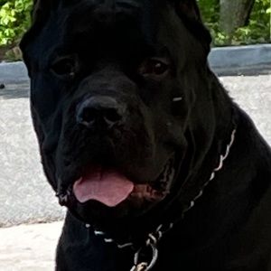 Meet your Posher, Brittany